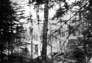Camp vu de la forêt
