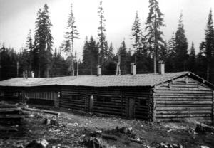 Camp forestier en bois rond