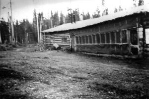 Camp 25 près du ruisseau McDonald