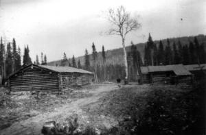 Camp 21