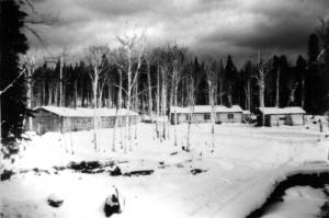 Camp 43 dans la région de Kedgwick
