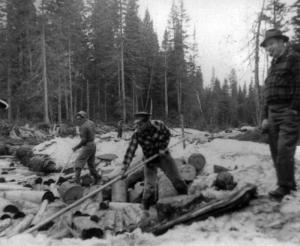 Draveurs dirigeant des billes de bois