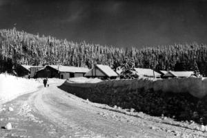 Promenade en hiver