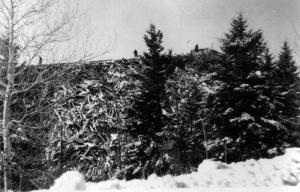 Pile de bois au convoyeur de Saint-Jacques