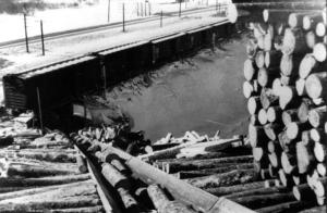 Dégargement d'un train au convoyeur de Saint-Jacques