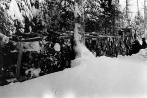 Tracteur avec skis tirant du bois