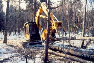 Abatteuse-ébrancheuse  déposant des troncs d'arbres