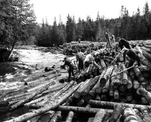 Drave sur la rivière Little Tobique