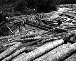 Driver Beaking up the Log Jam