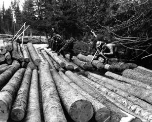 Lot de billots soulevé par un câble