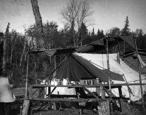 M. Donald Murray cuisinier dans la forêt de la Restigouche en 1934