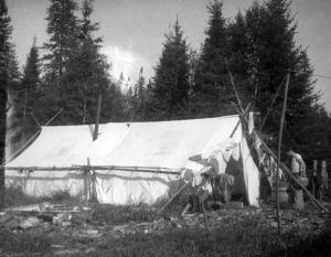 Tente dans la forêt de la Restigouche