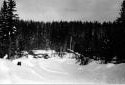 Camp 48 sur la Wild Goose Branch