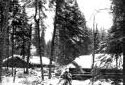 Camps de bois rond sous la neige