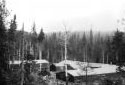 Camp forestier en été