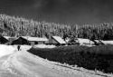 Promenade en hiver