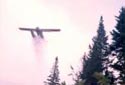 A Seaplane Spraying the Third Lake Forest