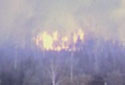 Forest Fire in the  Sainte-Rose, Quebec Region in   1950